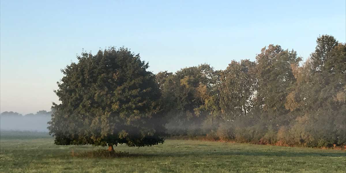 IMG 9051 1200px